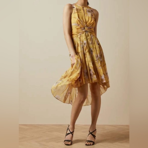 Ted Baker Fabulas Cabana ruched pleated midi dress - Picture 1 of 3